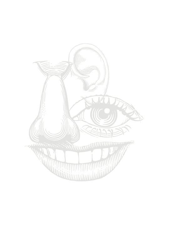 Sujet: Illustration - Riesling Deidesheim - trocken 2018 aus der Sinnlinie Eigensinn von Weingut Reinhardt Online bestellen