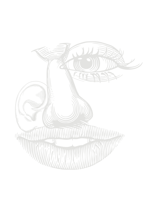 Sujet: Illustration - Riesling brut 2016 aus der Sinnlinie Frohsinn von Weingut Reinhardt Online bestellen