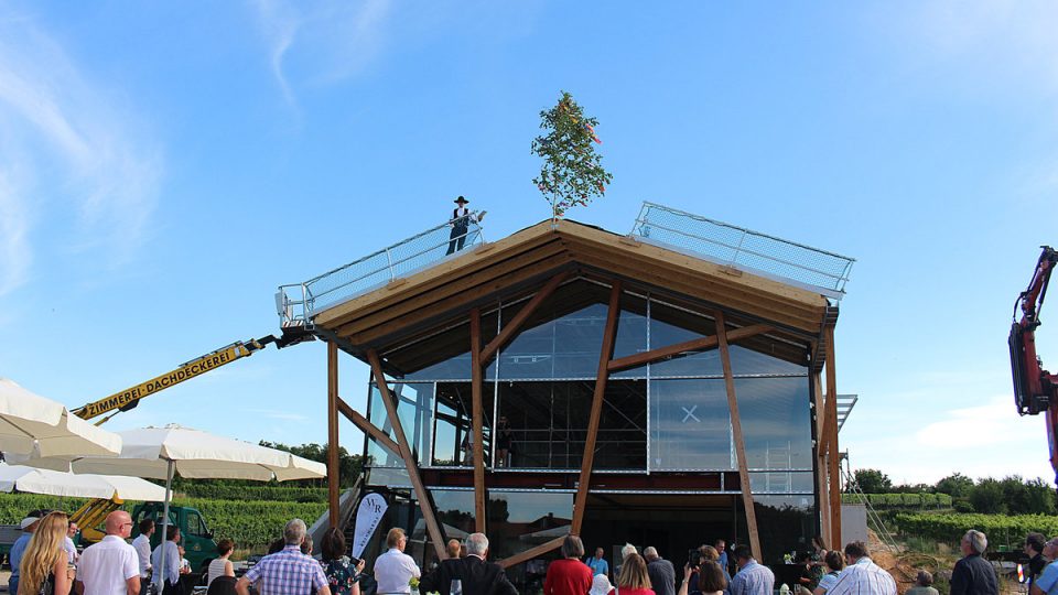 Richtfest_Weinwerk_Reinhardt_23.06.2020