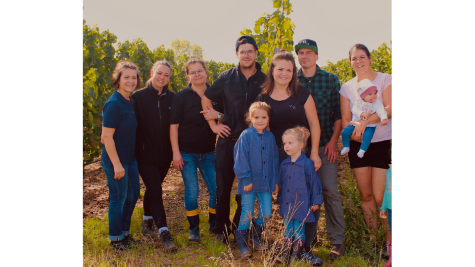 Weinlese 2022-Weingut Reinhardt